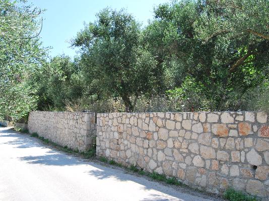 ΖΑΚΥΝΘΟΣ, ΠΩΛΕΙΤΑΙ ΟΙΚΟΠΕΔΟ 630 τ.μ., 50μ. ΑΠΟ ΤΗ ΘΑΛΑΣΣΑ...